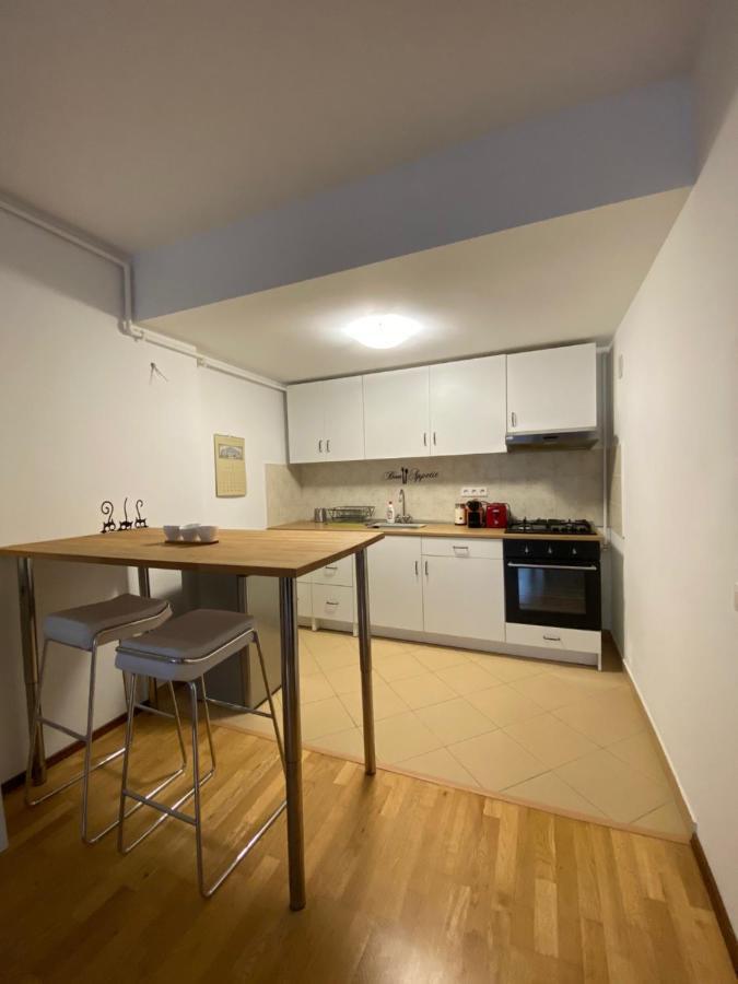 Ioana'S Apartament Apartment Sinaia Bagian luar foto